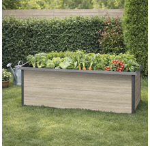 Jardinière surélevée en bois avec différents légumes dans le jardin.