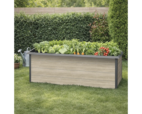 Jardinière surélevée en bois avec différents légumes dans le jardin.