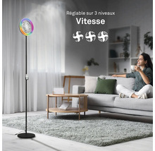 Ventilateur avec humidificateur et trois vitesses dans un salon