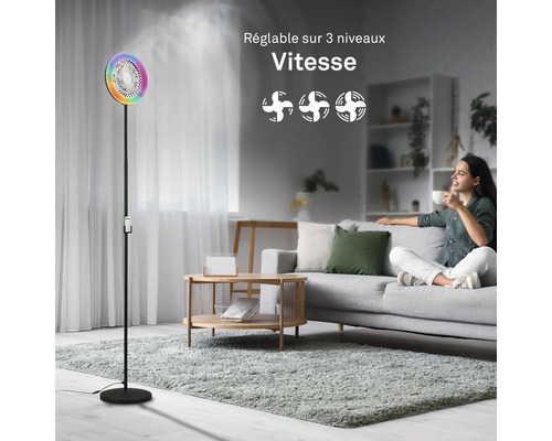 Ventilateur avec humidificateur et trois vitesses dans un salon