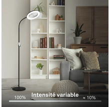 Lampadaire avec ventilateur intégré dans un salon.