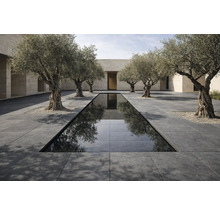 Espace extérieur avec bassin, dalles de pierre et oliviers