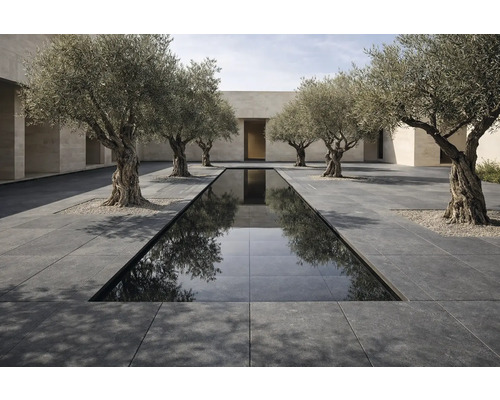 Espace extérieur avec bassin, dalles de pierre et oliviers