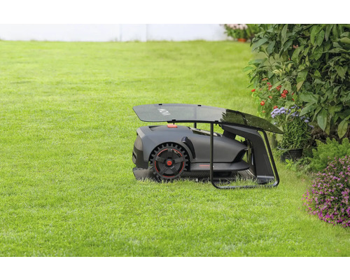 Rasenmähroboter auf einer Rasenfläche