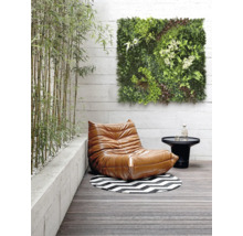 Scène avec un fauteuil, une table, un tapis rond et un panneau mural vert sur une terrasse