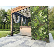 Scène avec bain à remous sous une pergola et un mur végétal vertical