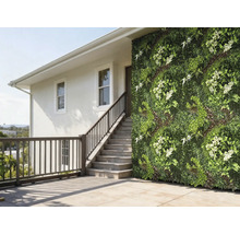 Mur de maison avec jardin vertical et escalier