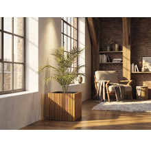 Bac à plantes carré en lattes de bois avec une plante d'intérieur dans un salon lumineux avec mur en briques et grandes fenêtres.