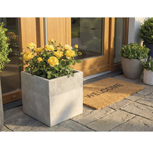 Quadratischer Pflanzkübel in Betonoptik mit gelben Rosen an einem Hauseingang neben einer Welcome-Fußmatte auf Steinfliesen.