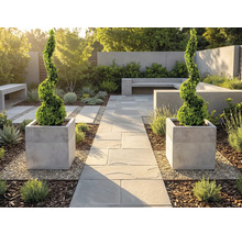 Moderner, heller Garten mit Steinweg, zwei spiralförmigen Buchsbäumen in quadratischen Pflanzgefässen, Betonbänken und Kieswegen.