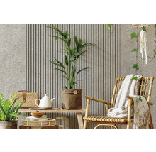 Espace de vie moderne avec panneaux acoustiques, mur aspect pierre, plantes d'intérieur et fauteuil en rotin.