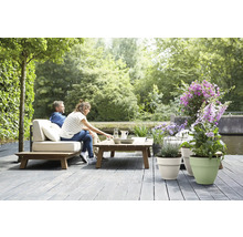 Terrasse de jardin lumineuse avec terrasse en bois, canapé lounge avec coussins, table en bois et diverses plantes en pots au bord de l'eau.