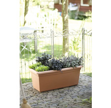 Rechteckiger Kunststoff-Blumenkasten in Terrakotta-Optik auf einer Terrasse, bepflanzt mit Kräutern und Salat vor einem dekorativen Metallzaun.