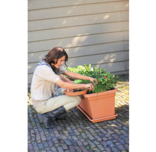 Eine Frau erntet Kräuter und Gemüse aus einem rechteckigen, terrakottafarbenen Pflanzkasten auf einer gepflasterten Terrasse.