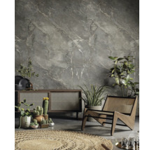 Salon moderne avec mur gris aspect marbre, buffet en bois avec cannage, fauteuil, cactus en pots et tapis rond en jute.