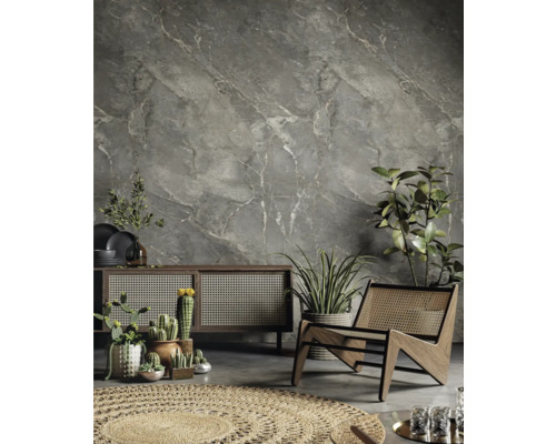 Salon moderne avec mur gris aspect marbre, buffet en bois avec cannage, fauteuil, cactus en pots et tapis rond en jute.