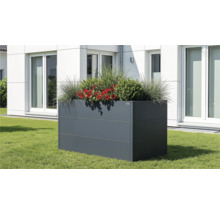 Carré potager surélevé en métal anthracite avec fleurs rouges et graminées sur une pelouse devant une maison blanche moderne.