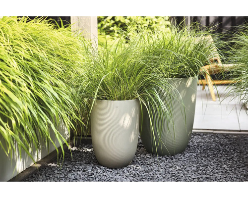 Zwei hohe Pflanzgefäße mit Wellenstruktur auf grauem Kies, bepflanzt mit grünem Ziergras in einem Garten.