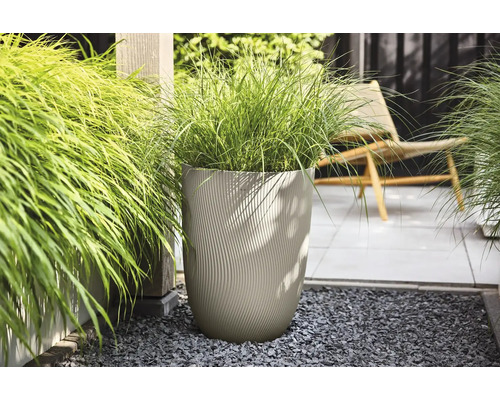 Grand pot de fleurs beige à structure ondulée avec herbe ornementale sur gravier sombre dans un jardin lumineux avec terrasse.