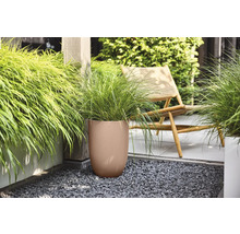 Pot de fleurs rond marron avec structure nervurée et graminées vertes sur une terrasse en gravier sombre à côté d une chaise en bois.
