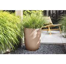Beiger Pflanzkübel mit Wellenstruktur und Ziergras auf einer modernen Terrasse mit grauem Kies.
