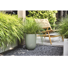 Ziergras in einem hohen, strukturierten grünen Blumentopf auf einer modernen Terrasse mit grauem Splitt und einem hölzernen Liegestuhl.