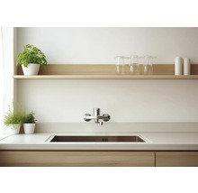 Moderne Küche mit wandmontierter Küchenarmatur über einer Edelstahlspüle, hellem Holzregal und grünen Pflanzen.