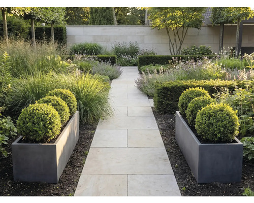 Moderner Garten mit hellem Plattenweg, dunkelgrauen Pflanzkübeln mit Buchsbaumkugeln, Gräsern und Hecken vor einer Steinmauer.