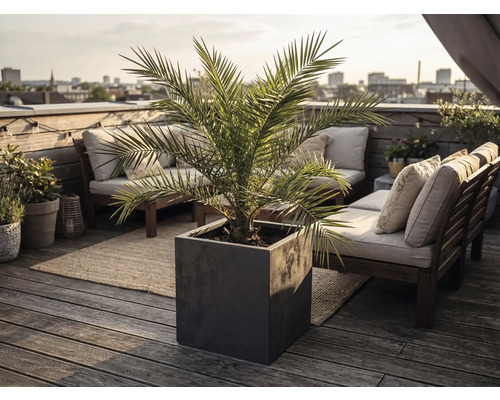 Moderner quadratischer Pflanzkübel mit Palme auf einer hellen Dachterrasse mit Holzmöbeln und Blick auf die Stadt.