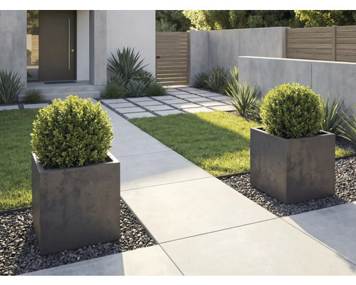Moderne Gartengestaltung mit zwei quadratischen Pflanzkübeln, Buchsbäumen, Betonweg und Kies.