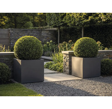 Deux grands bacs à fleurs carrés anthracite avec des buis en boule dans un jardin moderne avec muret en pierre et chemin en gravier.