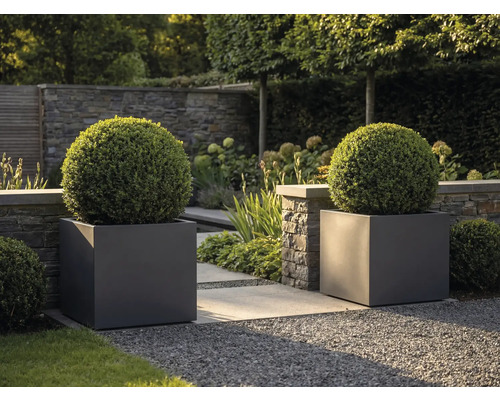 Deux grands bacs à fleurs carrés anthracite avec des buis en boule dans un jardin moderne avec muret en pierre et chemin en gravier.