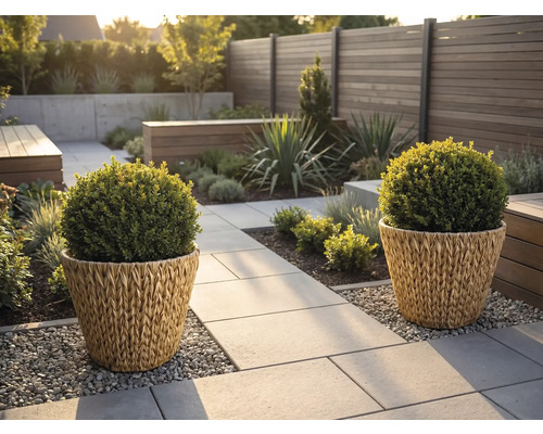 Jardin moderne avec deux jardinières tressées contenant des buissons en boule sur un chemin en pierre à côté d'une clôture en bois.