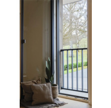 Französisches Balkongitter aus schwarzem Metall an einem bodentiefen Fenster, modernes Interieur mit Pflanze und Kissen.