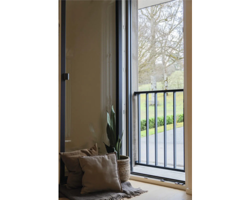 Französisches Balkongitter aus schwarzem Metall an einem bodentiefen Fenster, modernes Interieur mit Pflanze und Kissen.