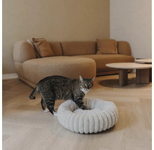 Chat tigré entrant dans un panier pour chat rond et moelleux dans un salon moderne avec canapé et parquet.