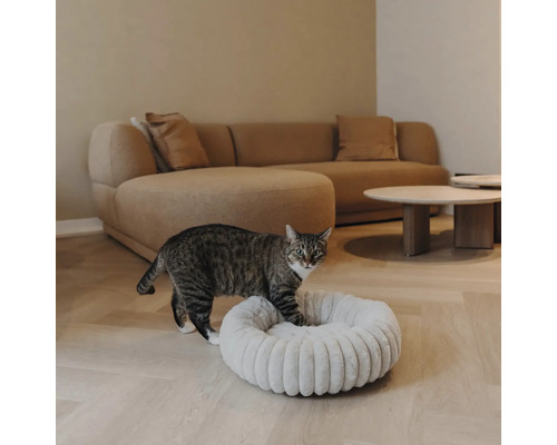 Chat tigré entrant dans un panier pour chat rond et moelleux dans un salon moderne avec canapé et parquet.
