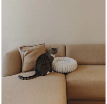 Chat tigré assis sur un canapé beige à côté d'un panier blanc rond en peluche pour animaux et d'un coussin.