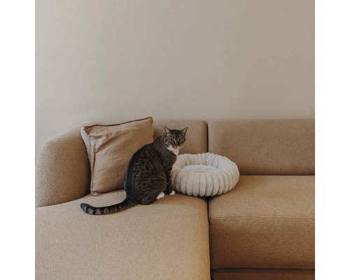 Chat tigré assis sur un canapé beige à côté d'un panier blanc rond en peluche pour animaux et d'un coussin.