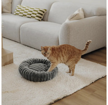 Chat roux sur un tapis blanc à côté d'un panier gris rond dans un salon lumineux avec un canapé gris.