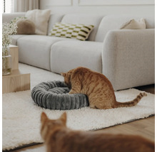 Panier pour chat rond et côtelé en tissu dans un salon moderne et lumineux avec canapé et deux chats.
