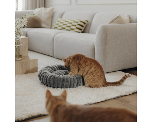 Panier pour chat rond et côtelé en tissu dans un salon moderne et lumineux avec canapé et deux chats.