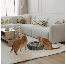 Salon lumineux et organisé avec canapé et tapis, deux chats à côté d'un panier rond et doux pour animaux en tissu texturé.