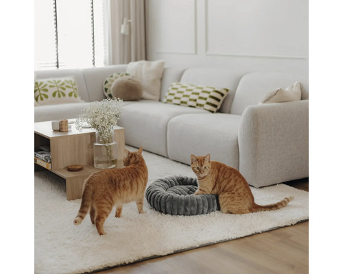 Salon lumineux et organisé avec canapé et tapis, deux chats à côté d'un panier rond et doux pour animaux en tissu texturé.