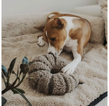 Hund liegt in einem flauschigen Hundebett und spielt mit einem runden, strukturierten Plüschspielzeug.