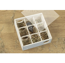 Quadratisches Holzlabyrinth für Kleintiere mit neun mit Heu gefüllten Kammern und transparentem Deckel, gezeigt mit einem Hamster.