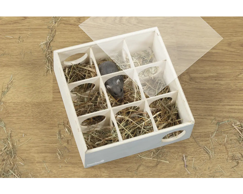 Quadratisches Holzlabyrinth für Kleintiere mit neun mit Heu gefüllten Kammern und transparentem Deckel, gezeigt mit einem Hamster.