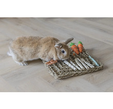Kaninchen auf einer Aktivitätsmatte aus Seegras mit Spielzeugkarotten und Holzstäben zur Beschäftigung.