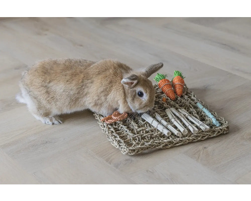 Kaninchen auf einer Aktivitätsmatte aus Seegras mit Spielzeugkarotten und Holzstäben zur Beschäftigung.