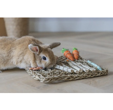 Kaninchen an einer Aktivitätsmatte für Kleintiere aus Naturmaterialien mit Holzstäben und Karottenspielzeug.